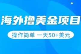 无门槛撸美金实操项目教程 小白易上手可实现日入50美刀