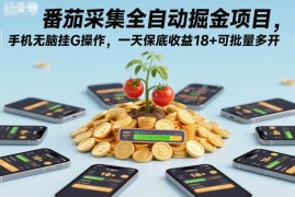 番茄听歌全自动挂机零撸项目 可多开单日保底收益18元以上