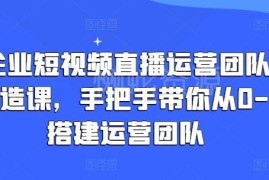 企业短视频直播运营团队打造教程 0到1搭建管理全流程教学