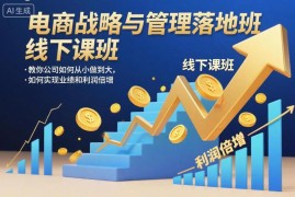 2025新版电商战略管理落地班线下课录音 助力业绩利润倍增