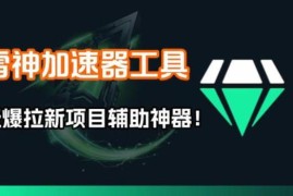 雷神加速器项目模拟器使用方法 1分钟1条视频矩阵爆单打法详解