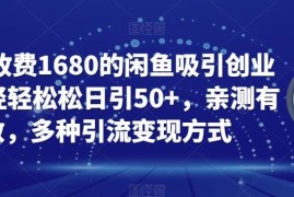 闲鱼引流创业粉实操教程 日引50+及多种变现玩法全解析