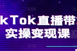 TikTok直播带货实操课 起号变现到团队搭建全流程教学