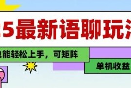 2025年最新语聊变现玩法 纯手工单机收益100+小白易上手可矩阵