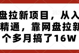 网盘拉新项目从入门到精通教程 3个月变现16万实操玩法详解