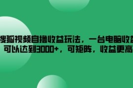 2024搜狐视频自撸收益玩法 单台电脑月入3k可矩阵放大操作