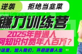 2025年普通人如何靠知识付费逆袭 镰刀训练营IP合伙人项目详解