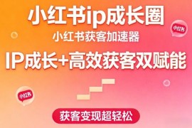 小红书IP打造与高效获客实操教程 全流程陪跑打通变现闭环
