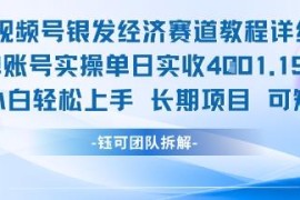 视频号银发经济赛道实操玩法 新手易上手单日可创收千元