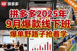 拼多多2025年9月爆款运营线下班 爆单实操玩法学习资料