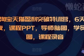2024淘宝天猫盈利突破特训营6天6夜全套课程资料合集