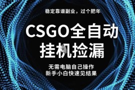 CSGO全自动捡漏副业操作教程 新手小白可上手稳定增收方法