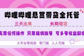 B站悬赏带货全托管玩法详解 无基础可上手的稳定副业项目