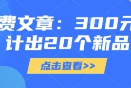 300元设计20款新品实操教程 低成本打造差异化独立产品指南