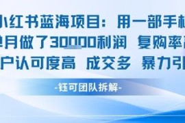 小红书蓝海低门槛副业拆解 小白易上手单月最高可赚3万元