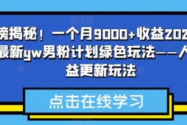 2023最新男粉绿色变现玩法 零经验新手操作单月可获9000+收益