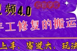 中视频4.0赛道新手玩法：手工修复搬运操作方法及落地效果解析