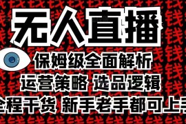 2025无人直播保姆级全解析 运营选品实操攻略新手老手均可上手
