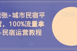 城市民宿OTA平台运营实操教程 掌握流量获取技巧提升经营收益