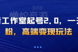 抖音工作室2.0起号玩法 千粉账号交易变现操作方法揭秘