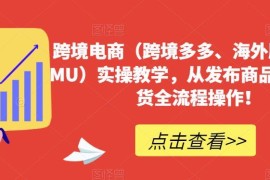 TEMU跨境电商实操教学 从商品发布到发货全流程指南