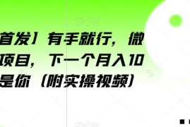 适合新手操作的微信爆粉项目教程 附全套实操录屏资料