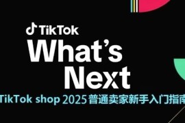 2025年TikTok Shop新手卖家入门指南 跨境电商从0到1运营全解析