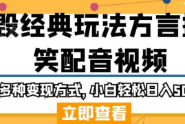 方言搞笑配音视频项目拆解 新手可落地的低门槛变现玩法