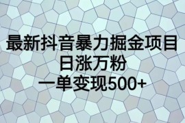 2024低成本抖音掘金项目实操教程 涨粉引流变现全流程拆解