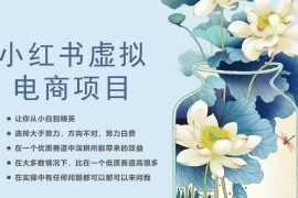 小红书虚拟电商从0到1实操课程 20节干货助力小白进阶精英