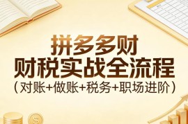 拼多多财税全流程实操教程 对账做账税务及职场进阶详解
