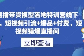2024直播带货落地特训营课程 短视频引流起号投放实操指南