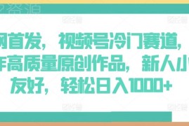 视频号AI原创冷门赛道玩法 新人易上手可赚创作者分成收益