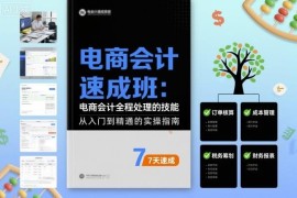 电商会计速成班详解 快速掌握多平台电商全流程财务处理技能