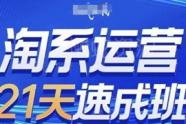2024年7月更新 0基础21天掌握可落地淘系运营实操技能