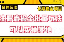 注册流掘金批量玩法实操教程 多项目适配可落地提升收益