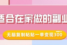 零基础可做的小红书冷知识账号副业 在家操作易上手收益稳定