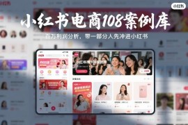 小红书电商108案例库及百万利润分析 配套学习资料汇总