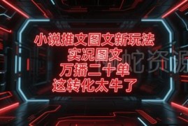 小说推文实况图文新玩法实操 零粉丝零基础高转化上手教程