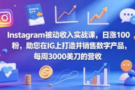 Instagram被动收入实战课 IG涨粉及数字产品销售变现教程