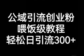公域引流创业粉喂饭级实操教程 零基础可实现日引流300+