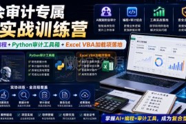 财审专属AI实战训练营 学AI协同编程做审计工具箱与VBA插件