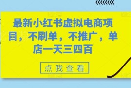 小红书虚拟电商项目实操分享 无需刷单推广单店日均收益数百