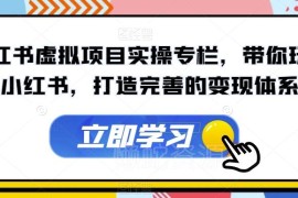小红书虚拟项目实操专栏 从零搭建可落地的完整变现体系
