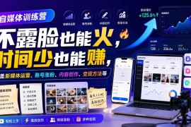 自媒体运营实战训练营教程 不露脸涨粉 从创作到变现全攻略