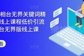2024万相台无界关键词精准人群运营实操线上课程合集