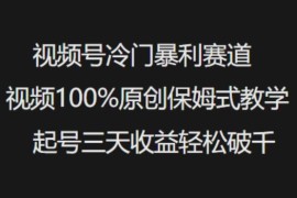 视频号中老年冷门赛道原创起号 保姆级教学及变现方法分享