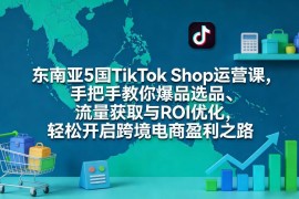 东南亚5国TikTok Shop运营课 选品流量及ROI优化实用全攻略