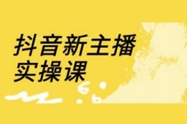 抖音新主播18节线上实操课 直播间流量运营全流程教学
