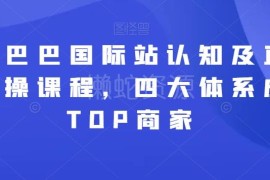 阿里巴巴国际站认知与直通车实操课程 四大体系打造行业TOP商家